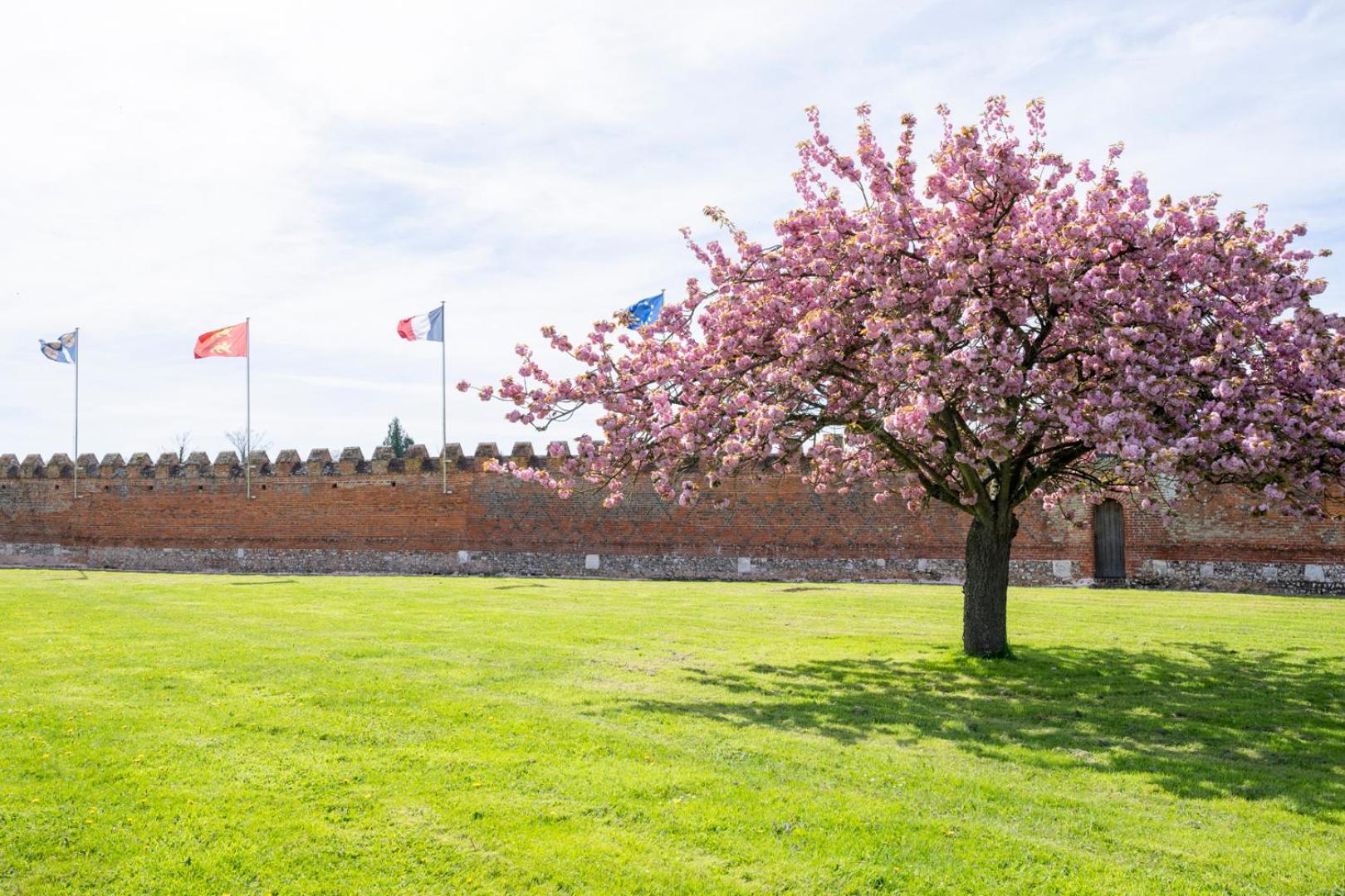 Chateau De Tilly Hotel